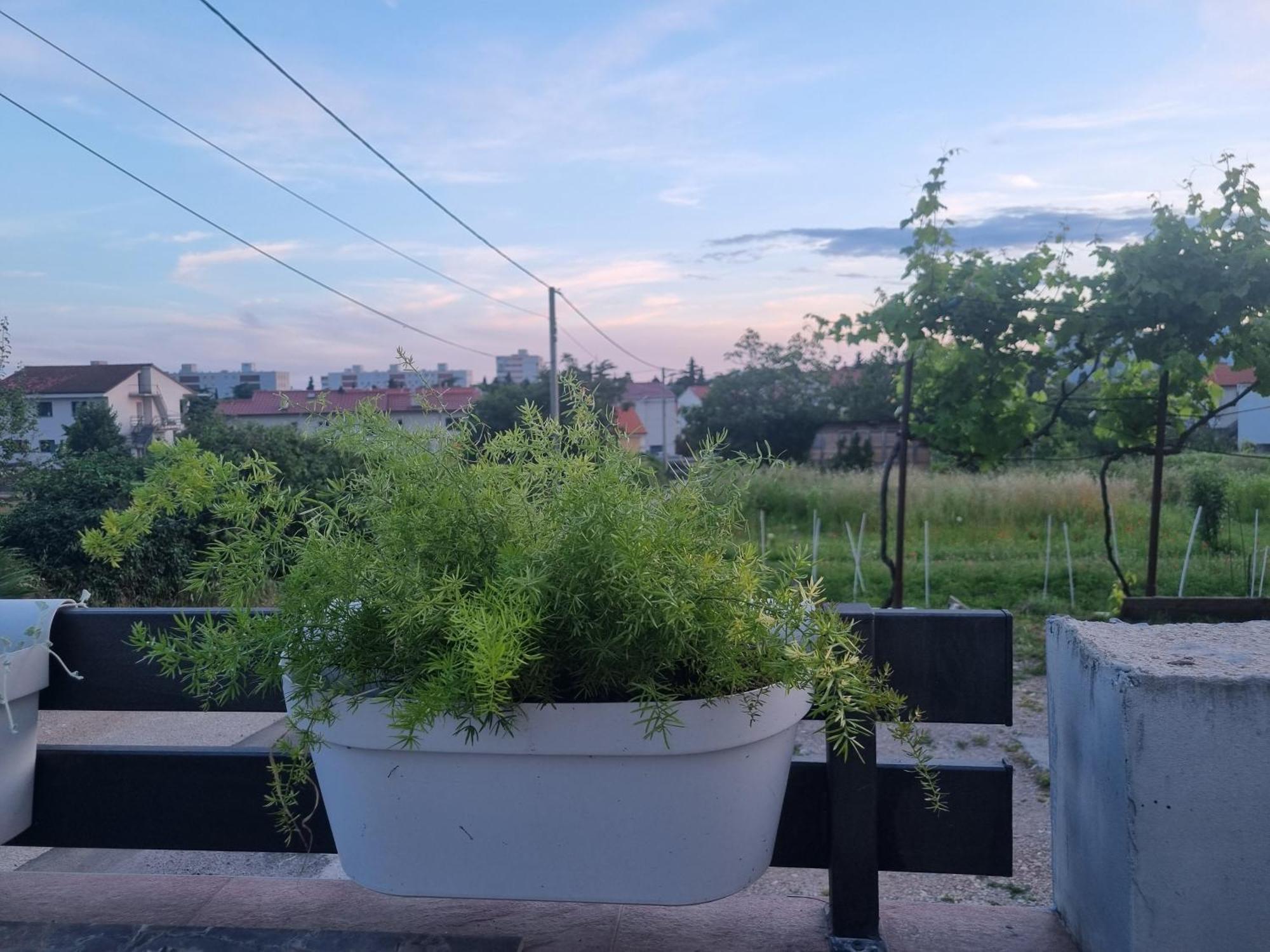 רייקה Apartman Dasa מראה חיצוני תמונה