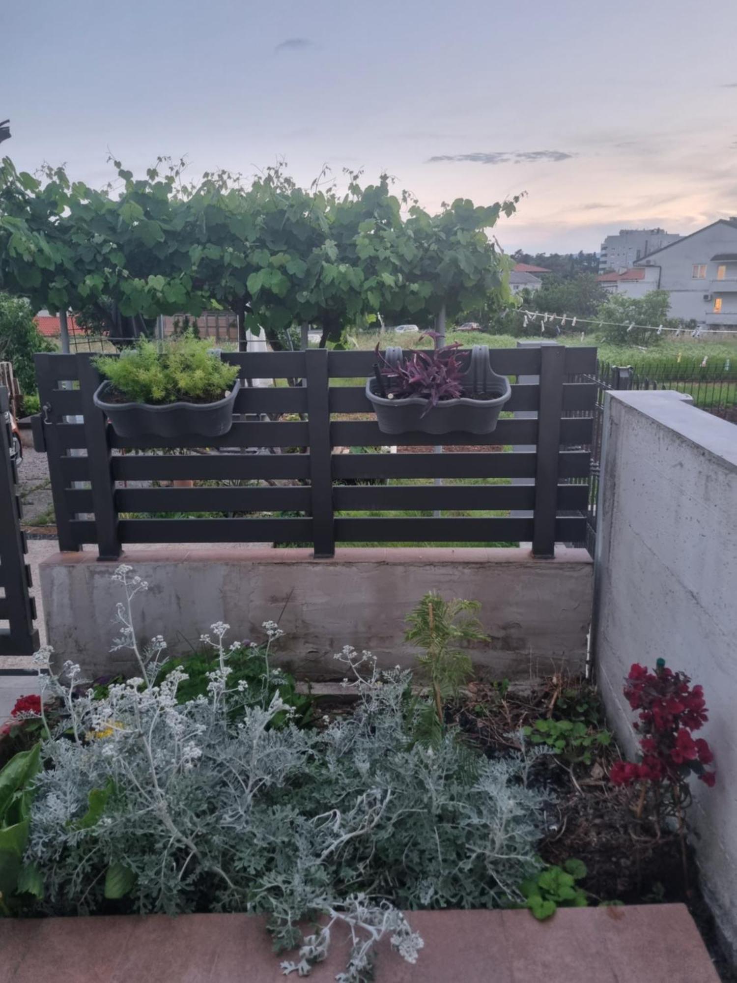 רייקה Apartman Dasa מראה חיצוני תמונה